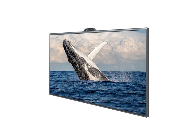 Maxhub 86'' Trascend Series IFP P-Cap Touch/ Windows OPS