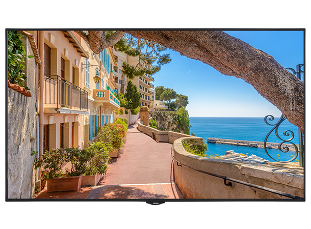 AVP pakke entry-level UC møterom 75" Vestel XD75"/veggfeste/BYOD/switch