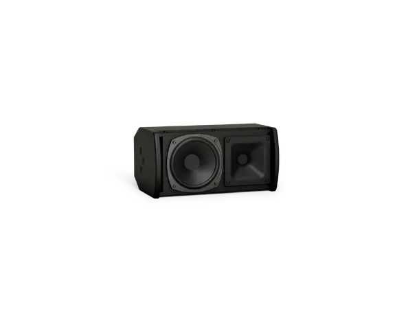 BOSE ARENAMATCH AMU105 100X100 OUTDOOR LDSPK BLK