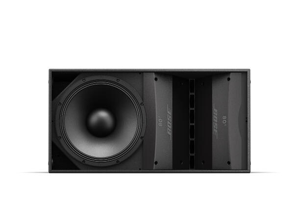 BOSE ARENAMATCH AM10/80 OUTDOOR LDSPKR 80x10