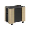 Epson Mobile A/V Cabinet ELPCS01 For EB-810E*815E
