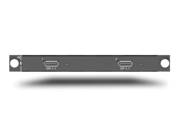 Novastar H_2xDP1.1 input card