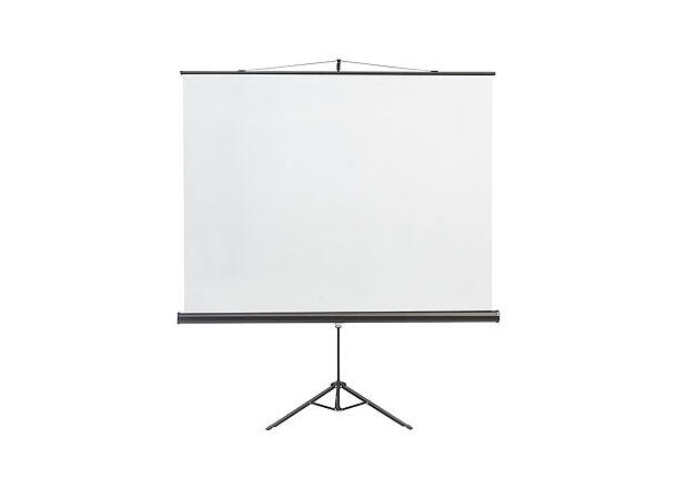 KingPin Port. lerret 1:1 153x153cm Utlån