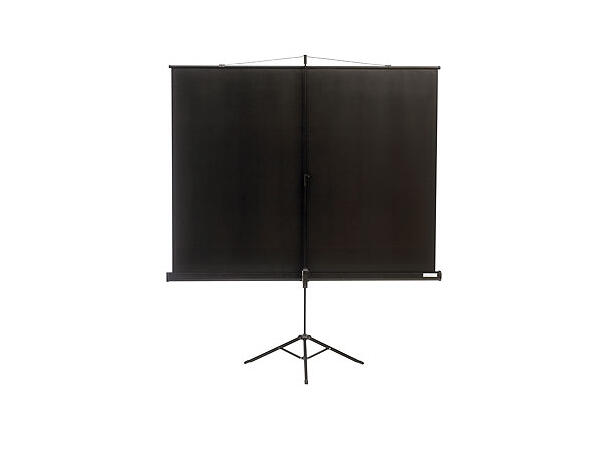 KingPin Port. lerret 1:1 153x153cm Utlån